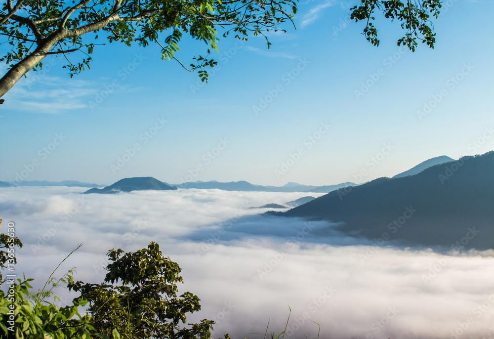 Landscape with fog in the morning. Landscape with fog in the morning.