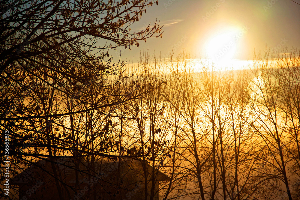 Alba Alba