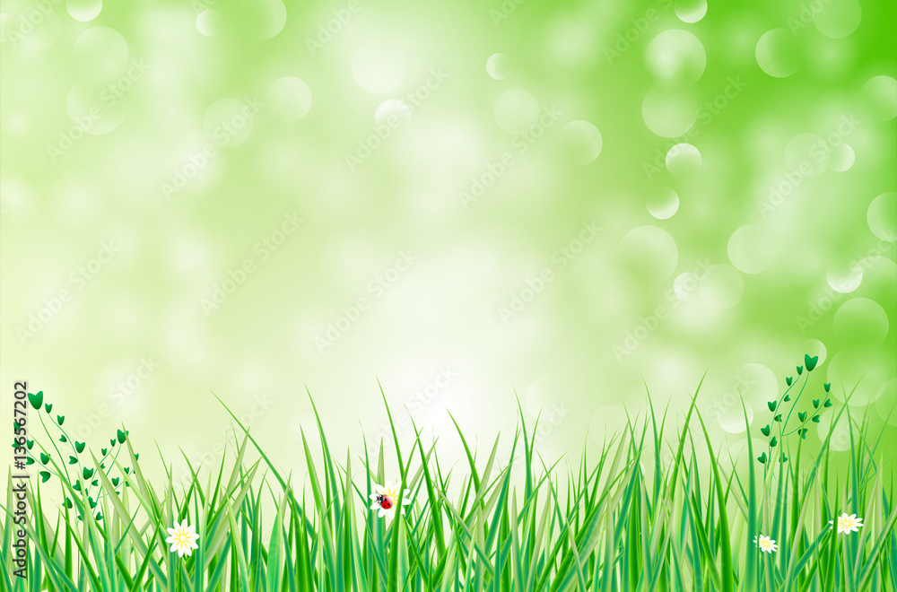 Green background with grass, flowers and blurred bokeh Green background with grass, flowers and blurred bokeh