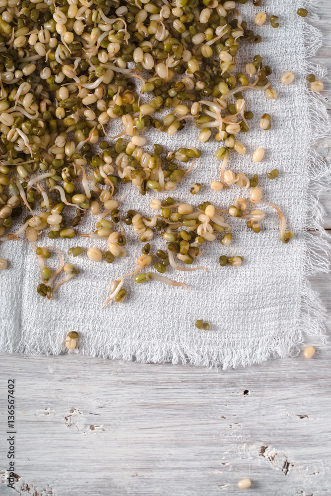 Germinated mung beans on a napkin on the left Germinated mung beans on a napkin on the left