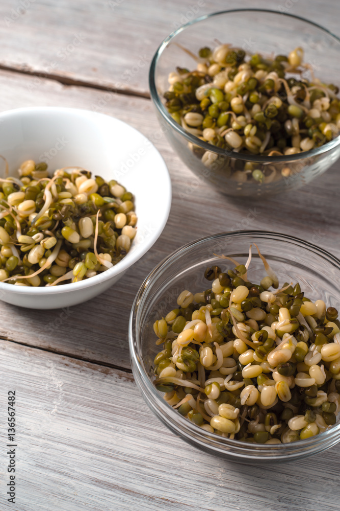 Germinated beans in glass and ceramic bowls diagonal Germinated beans in glass and ceramic bowls diagonal