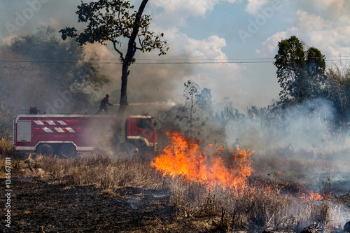 The fireman on fire truk with hose extinguish a fire