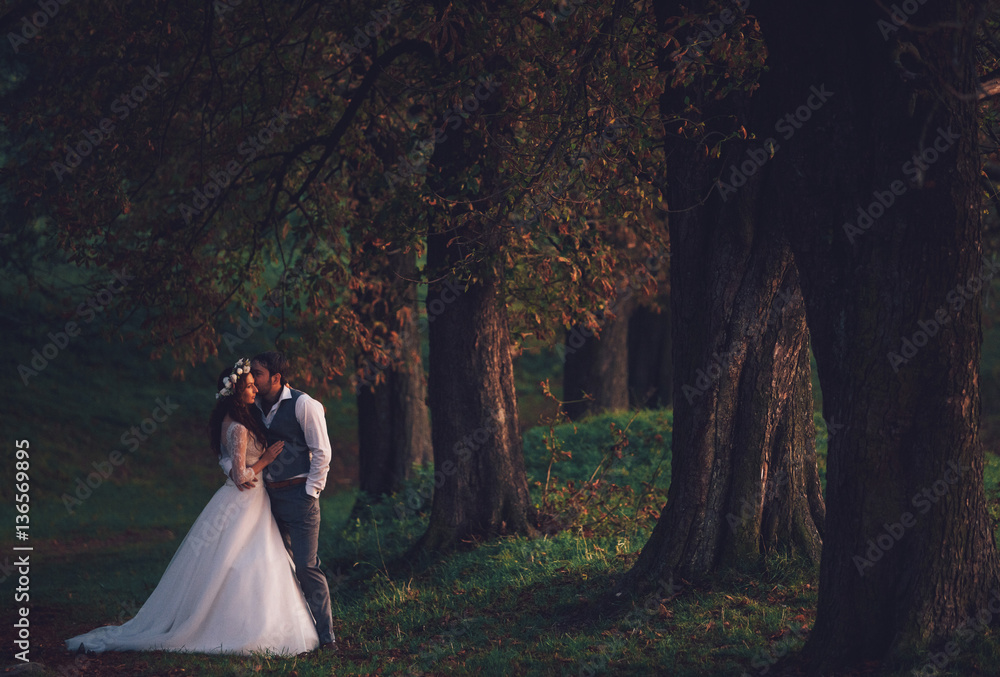 Groom is kissing a cheek of the bride in the park Groom is kissing a cheek of the bride in the park