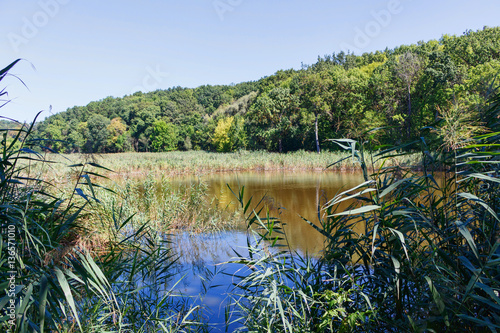 Lake near forest with reflection, reed in Taul Park, north of Moldova photo