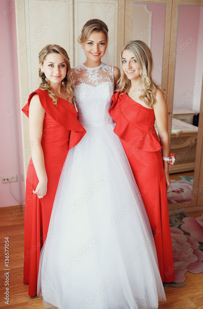 Beautiful bride and her bridesmaids