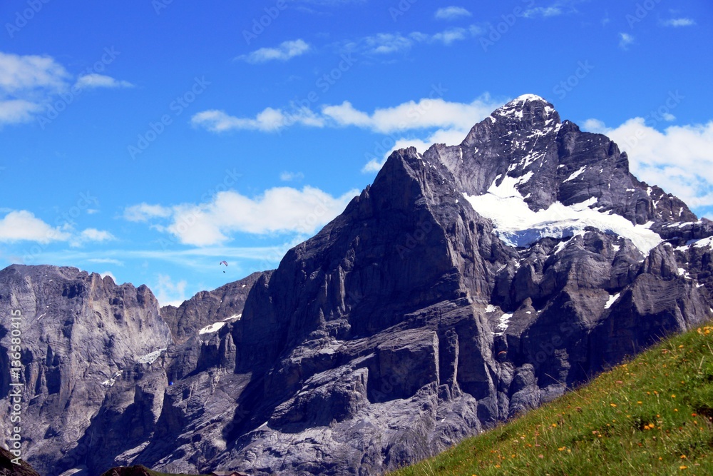 Berge rund um Grindelwald