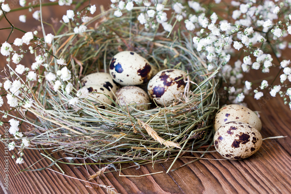 Spotted quail eggs in a nest on a wooden background