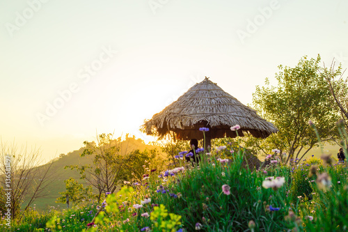Man sitting on the flower field at sunset.