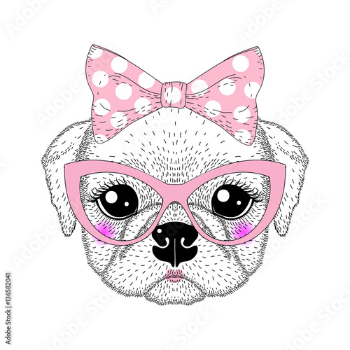 Cute pug portrait with pin up bow tie on head, kat eyes glasses.