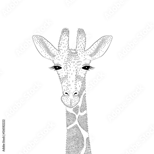 Vector cute giraffe portrait. Fashion hand drawn animal illustra