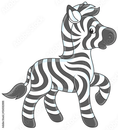 Small zebra