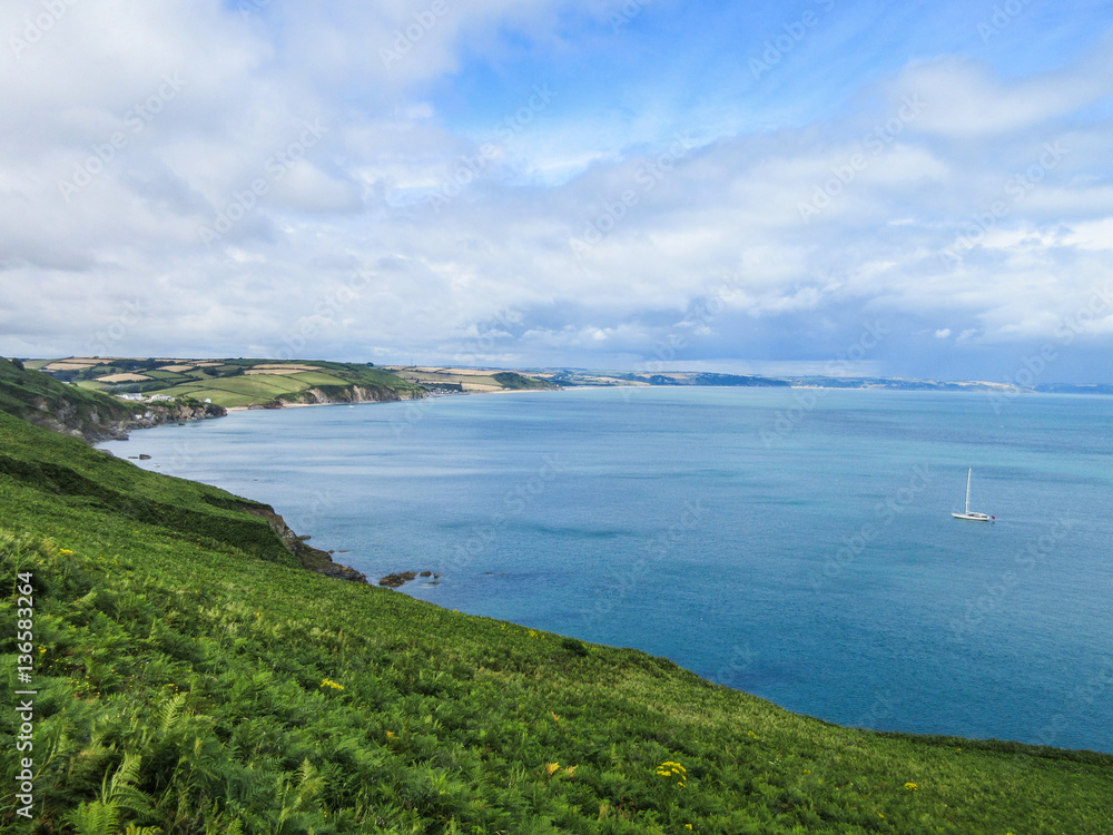 South Devon coast