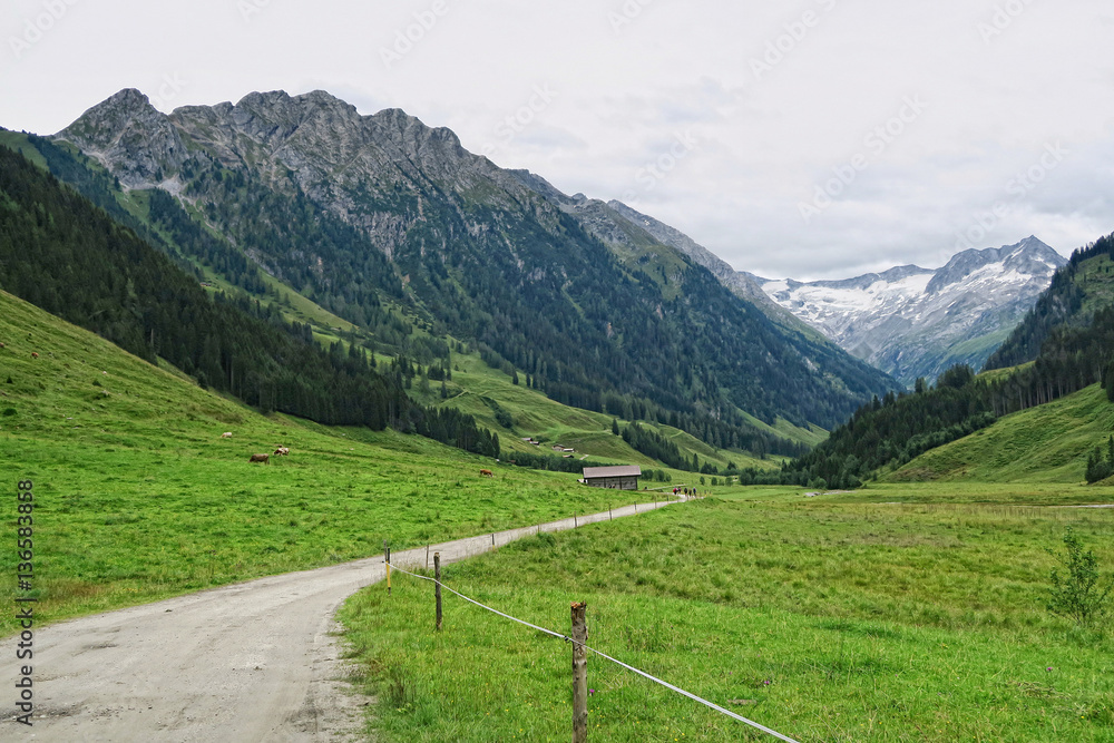 Zillertal valley landscape in Tirol. European Alps (Austria) in