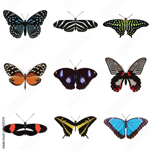 Set of nine butterflies