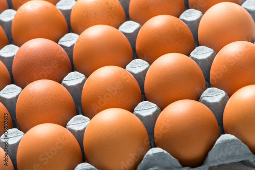 Close Up of Brown Chicken Eggs in Tray for Background