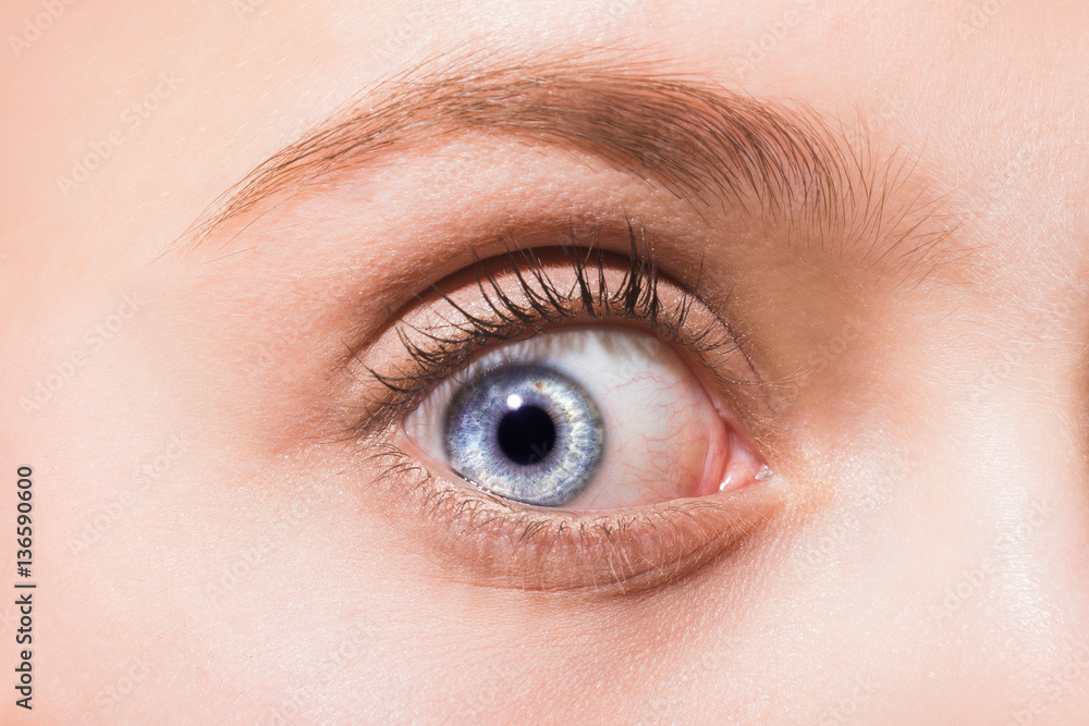 Blue eye open close-up. Female beautiful blue eye with eyelashes and eyebrows. The emotion of surprise on the woman's face. Macro human eye, the cornea and pupil. Vision and vision problems Blue eye open close-up. Female beautiful blue eye with eyelashes and eyebrows. The emotion of surprise on the woman's face. Macro human eye, the cornea and pupil. Vision and vision problems