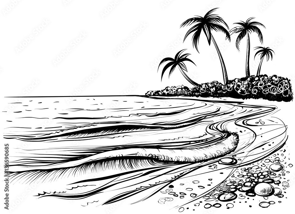 Fototapeta premium Ocean lub morze plaża z palmami i falami, szkic. Ilustracja wektorowa czarno-biały.