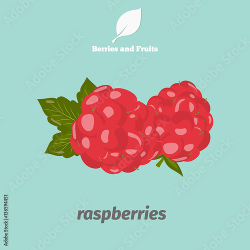 Raspberries color icon. Cartoon style for web and mobile design
