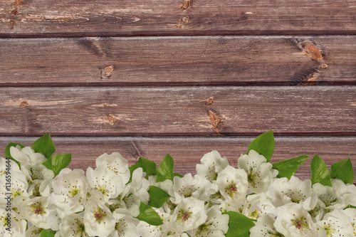 pear tree flowers on wooden background.