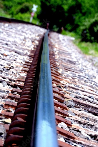 Perspective/Following the hot rail to the trees.