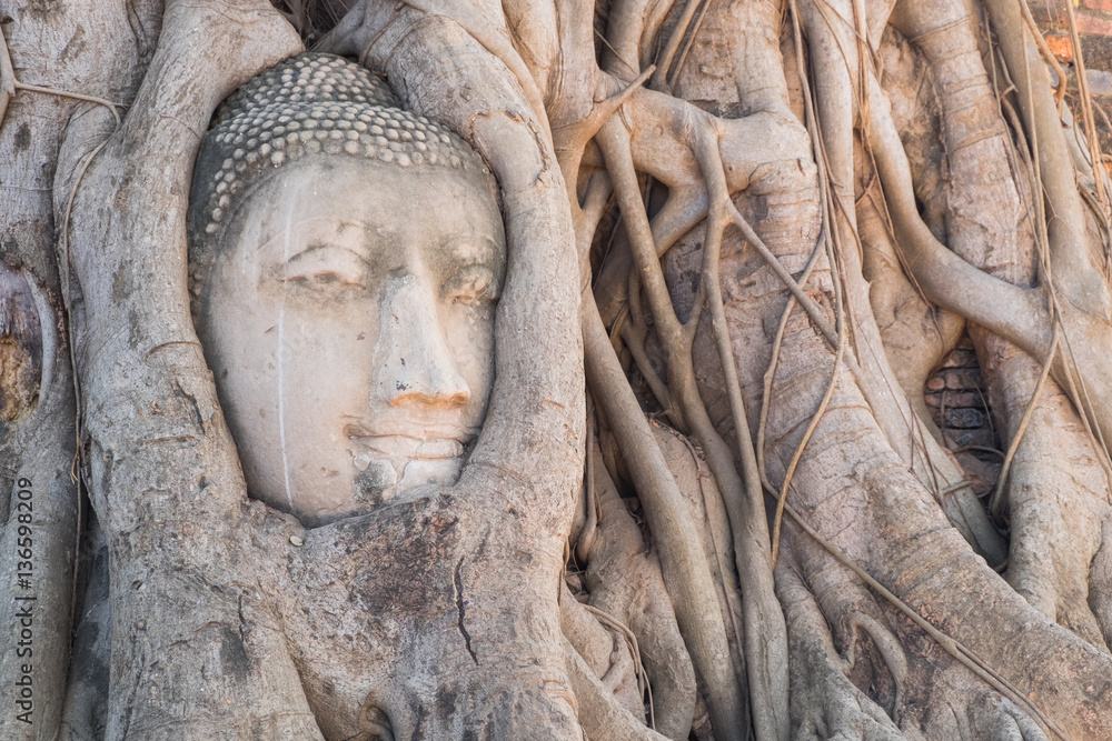 Head of Buddha statue in the tree roots at Wat Mahathat temple,