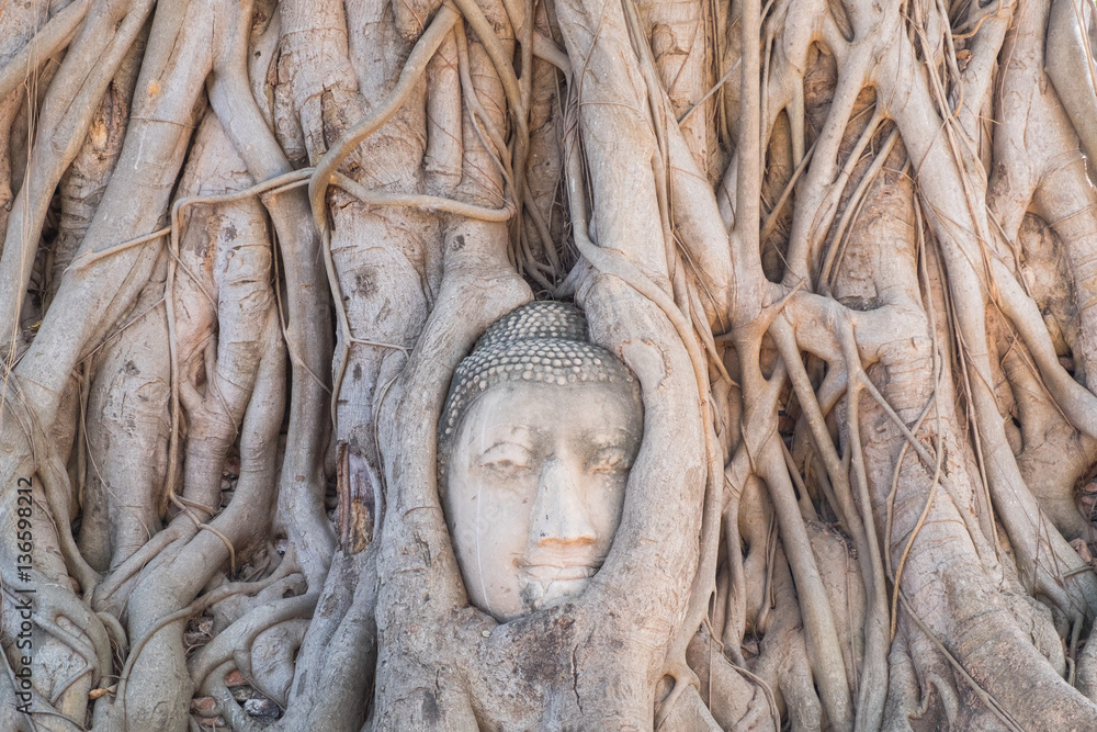 Head of Buddha statue in the tree roots at Wat Mahathat temple,