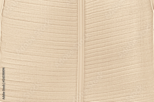 Brown banana leaves paper background