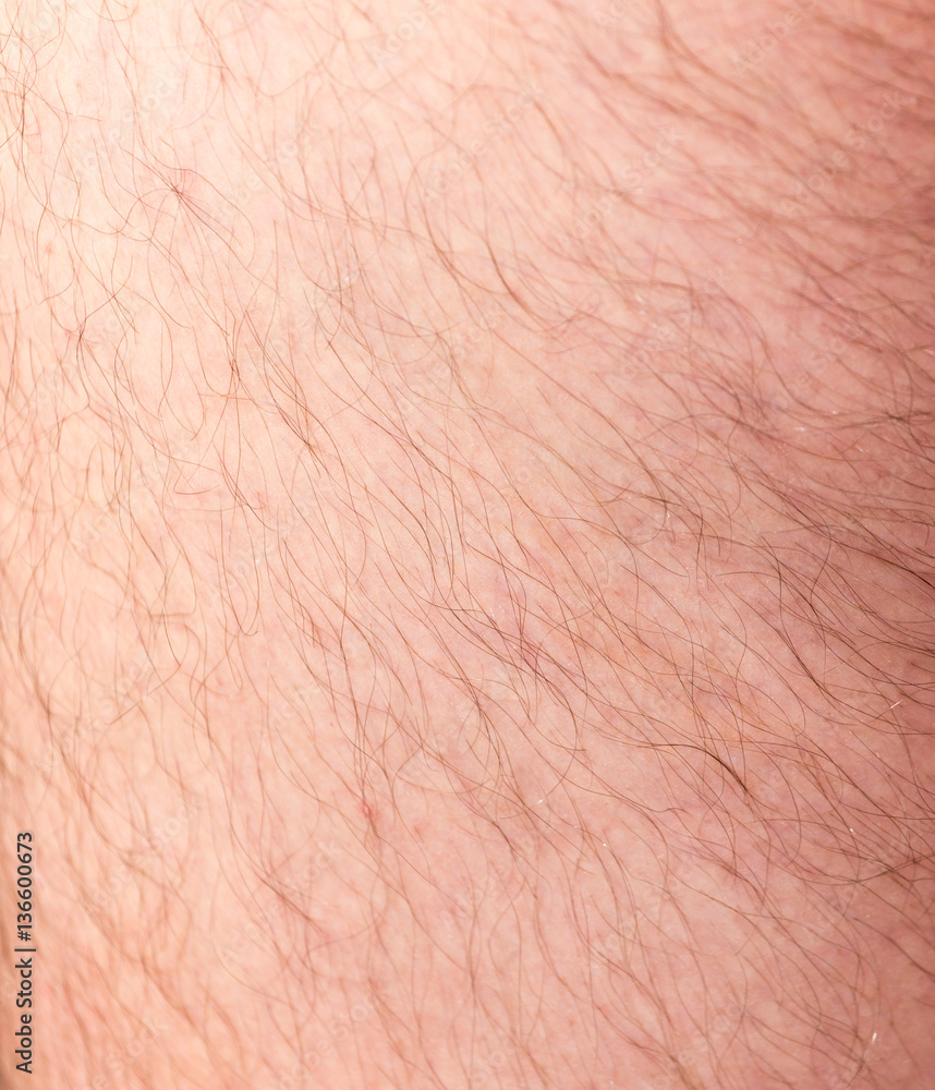 Fototapeta premium the hair on the human skin as background