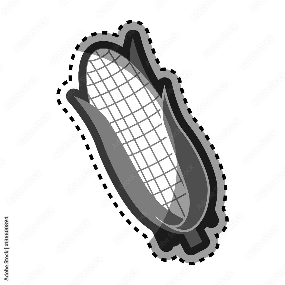 corn vegetable isolated icon vector illustration design corn vegetable isolated icon vector illustration design
