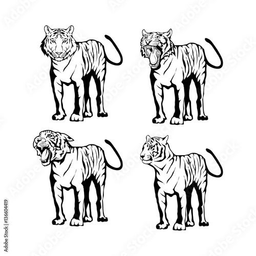 Tigers set