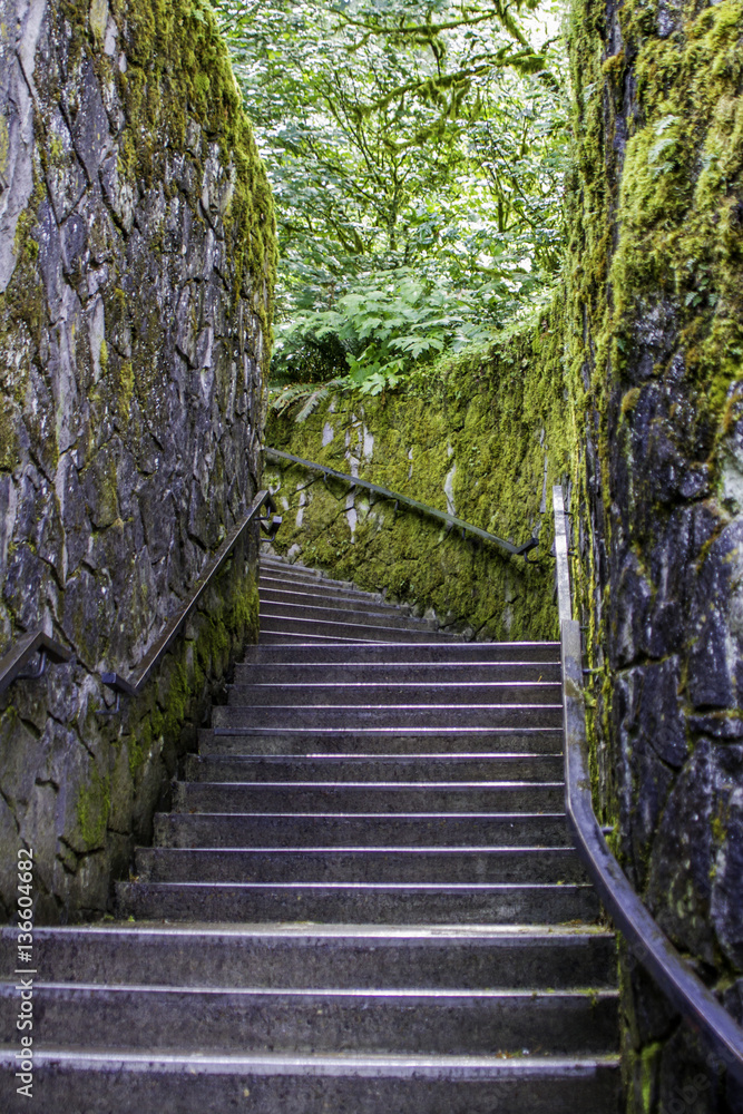 Obraz premium Vintage Pathway Stairs