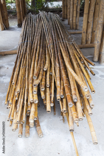 Bambú para contruir