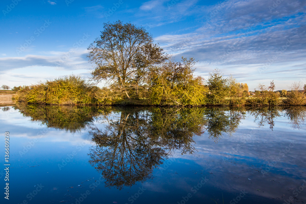 Reflecting tree Reflecting tree