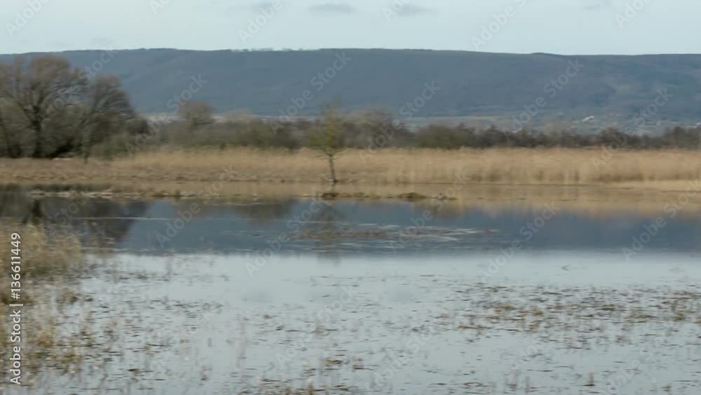 Floodplain at Lake Balaton, Hungary Floodplain at Lake Balaton, Hungary