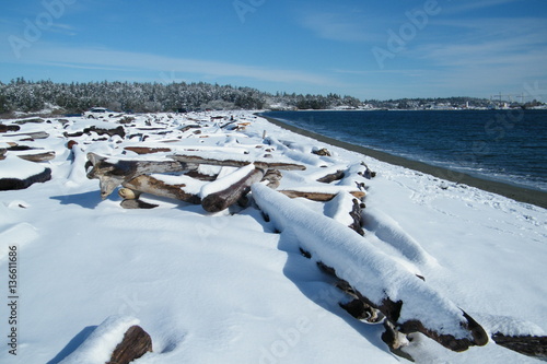 Fototapeta Naklejka Na Ścianę i Meble -  Remains of Drift Wood Structure Covered in Snow