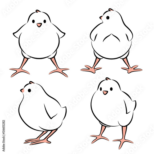 Vector Illustration Of A Baby Bird From Four Angles