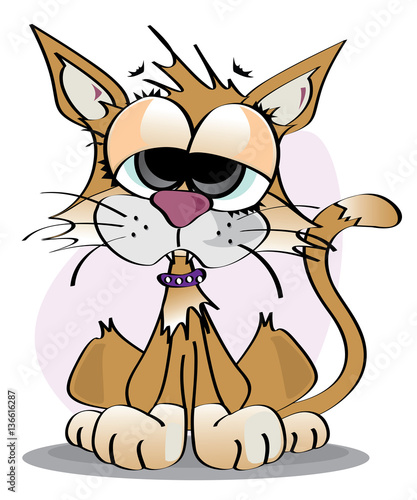 Chat roux