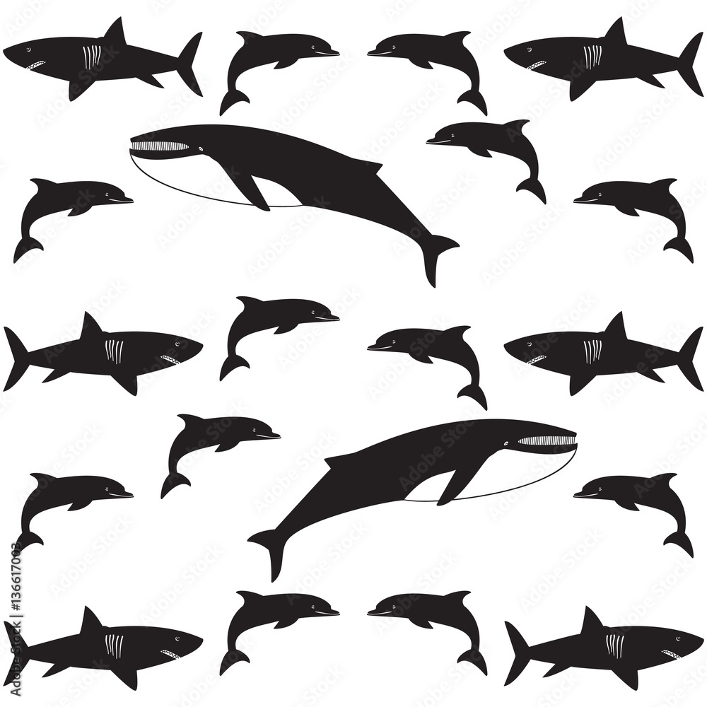 Fototapeta premium underwater pattern dolphin shark whale black