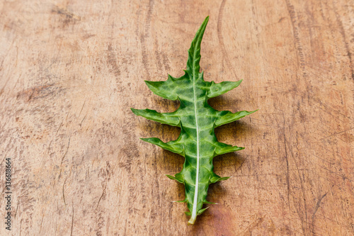 Sea holly or Acanthus ebracteatus, a herbal plant for use as alt photo