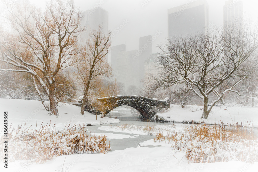 Obraz premium New York City Central Park in snow
