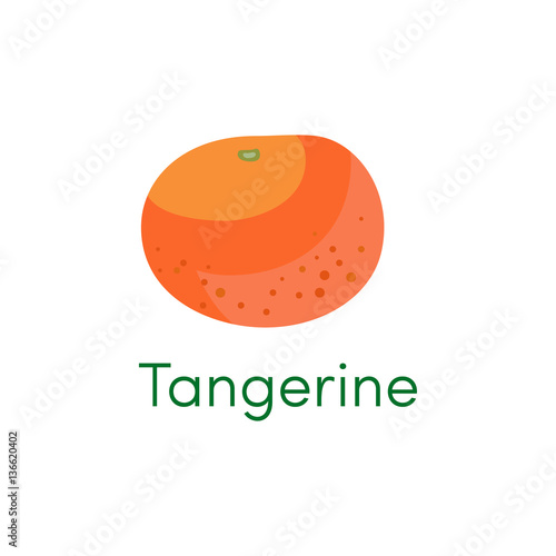 Mandarin and tangerine orange fruit icon. Cartoon citrus object isolated on a white background. Vector illustration