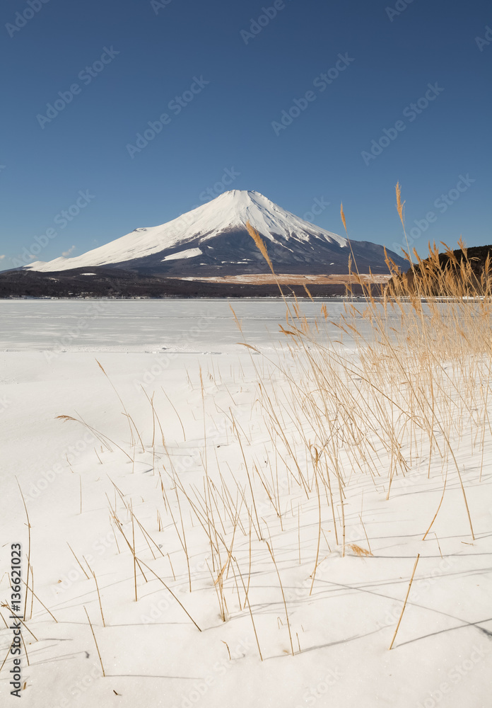 Lake Yamanaka with snow fall and Mount Fuji in winter season. Lake Yamanakako is the largest of the Fuji Five Lakes .
