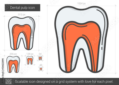 Dental pulp line icon.