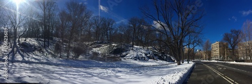 Tree and road with snow at Central Park in panorama view, New York