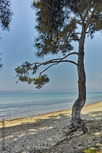 Fototapeta Naklejka Na Ścianę i Meble -  Beach of Ormos Prinou, Thassos island, East Macedonia and Thrace, Greece 