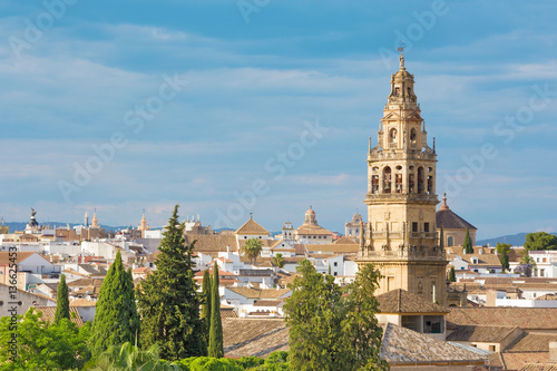 Cordoba - The outlook from castle Alcazar de los Reyes Cristianos to the Cathedral tower.