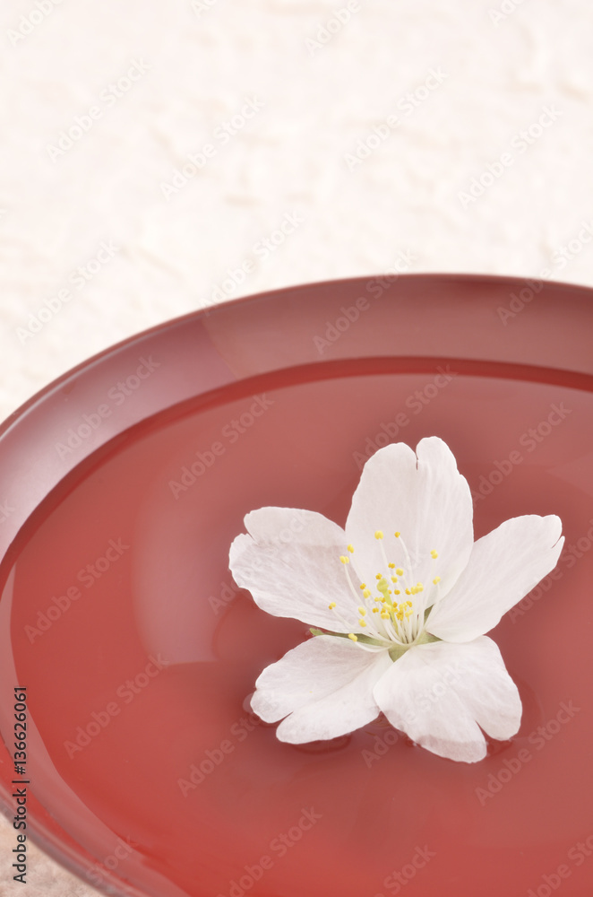 日本酒に浮かぶサクラの花びら 日本酒に浮かぶサクラの花びら