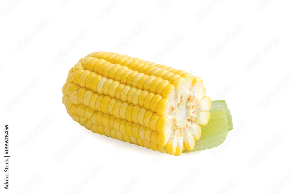 fresh corn on white fresh corn on white