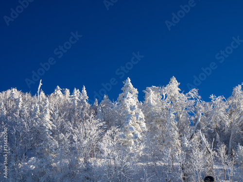 雪山