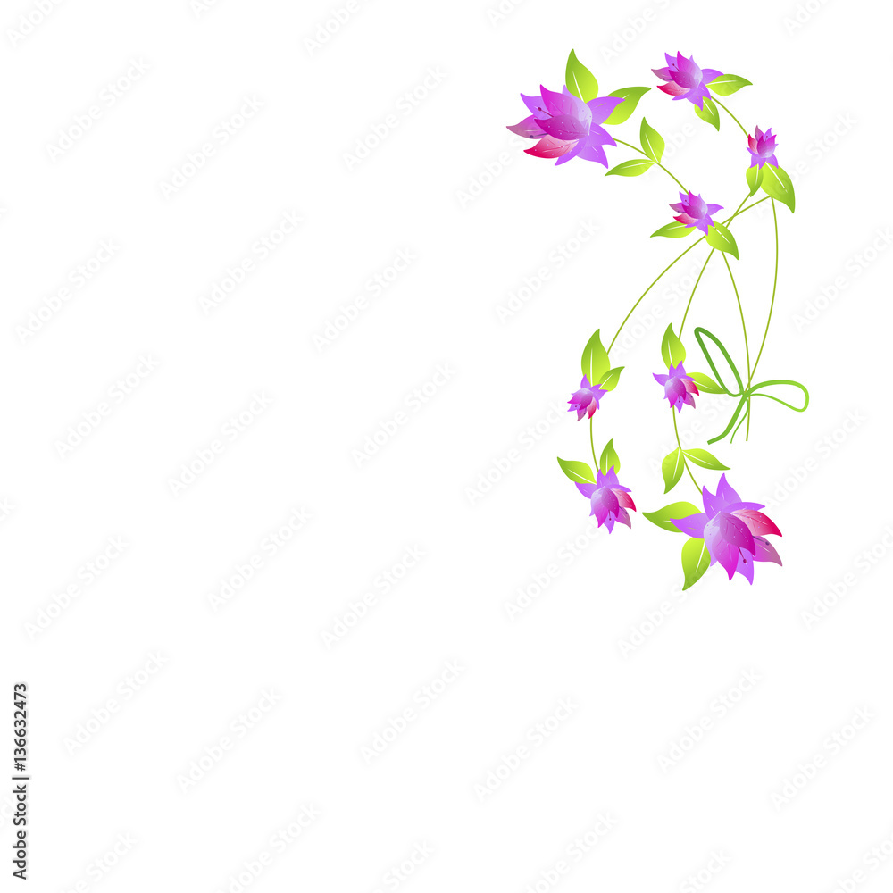 beautiful flowers beautiful flowers